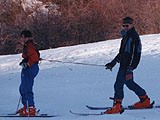 "Дрессированная собачка Коля" учится кататься на лыжах